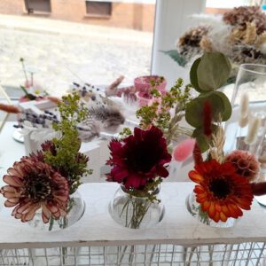 Konservierte Gerbera mit langem Stiel - Eastflower OnlineShop
